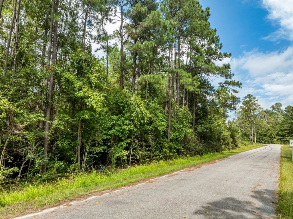 1232 Rainbow Dr., Loris, SC 29569 — photo 2