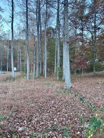 10733 McAfee Road, Soddy Daisy, TN 37379