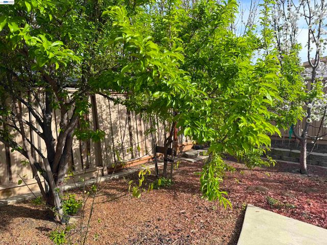 726 S Escuela Dr, Mountain House, CA 95391