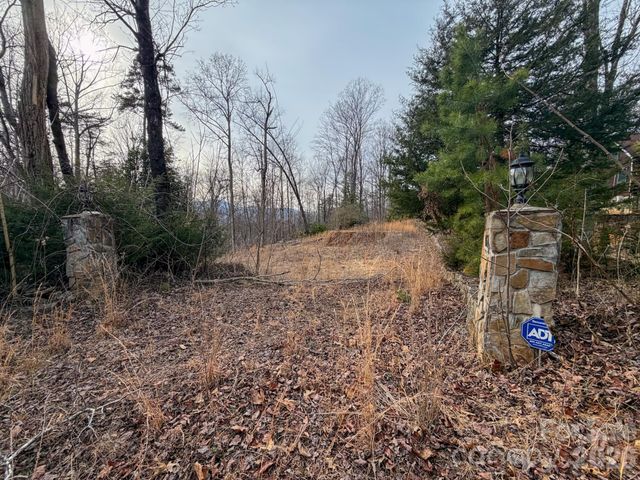 161 Starling Road, Lake Lure, NC 28746