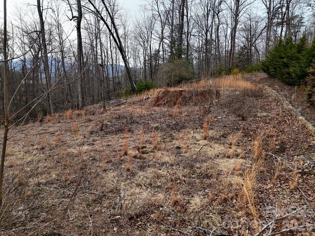 161 Starling Road, Lake Lure, NC 28746