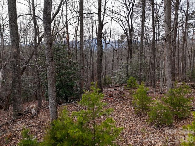 161 Starling Road, Lake Lure, NC 28746