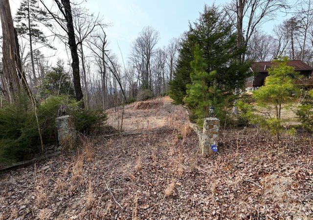 161 Starling Road, Lake Lure, NC 28746