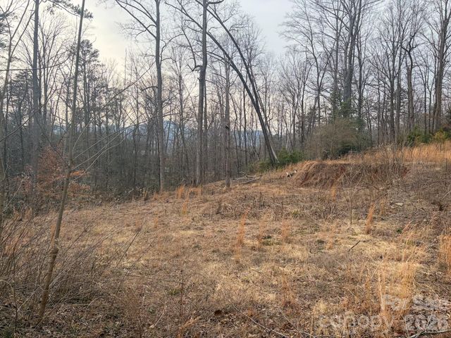 161 Starling Road, Lake Lure, NC 28746