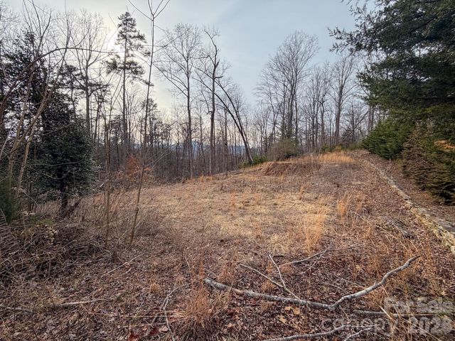 161 Starling Road, Lake Lure, NC 28746