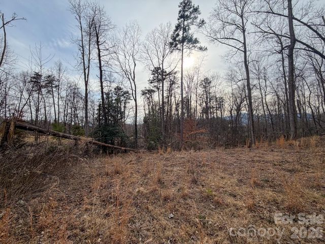 161 Starling Road, Lake Lure, NC 28746