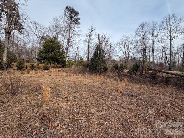 161 Starling Road, Lake Lure, NC 28746