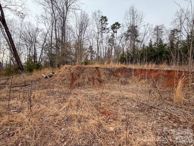 161 Starling Road, Lake Lure, NC 28746