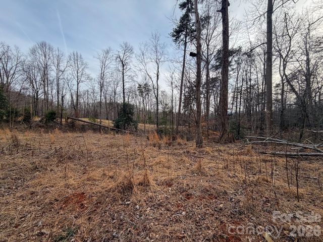 161 Starling Road, Lake Lure, NC 28746