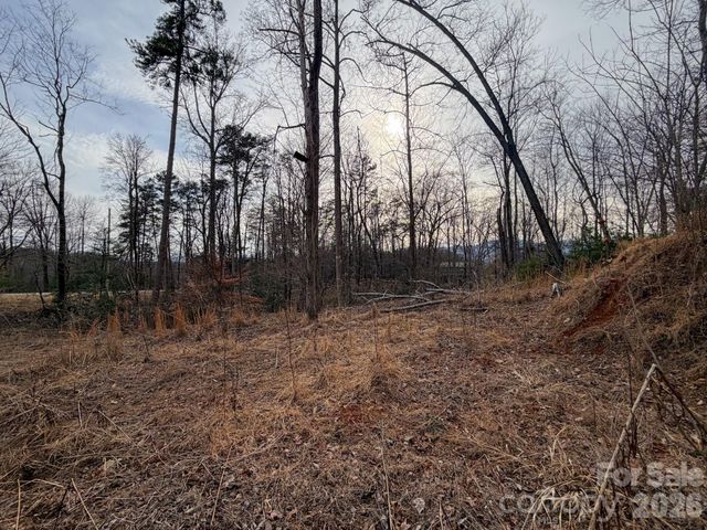 161 Starling Road, Lake Lure, NC 28746