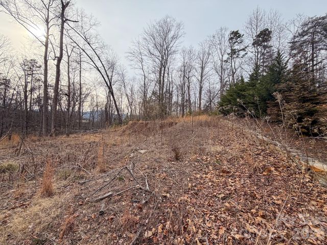 161 Starling Road, Lake Lure, NC 28746