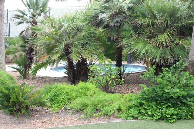 10327 Termini San Luis Pass Road 515, Galveston, TX 77554