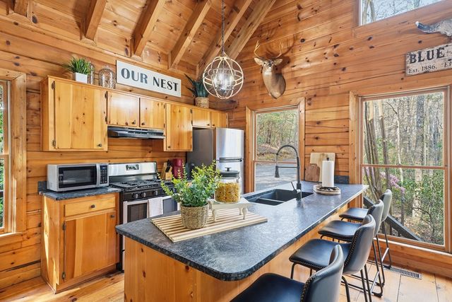 942 Granny Branch Drive, Cherry Log, GA 30522
