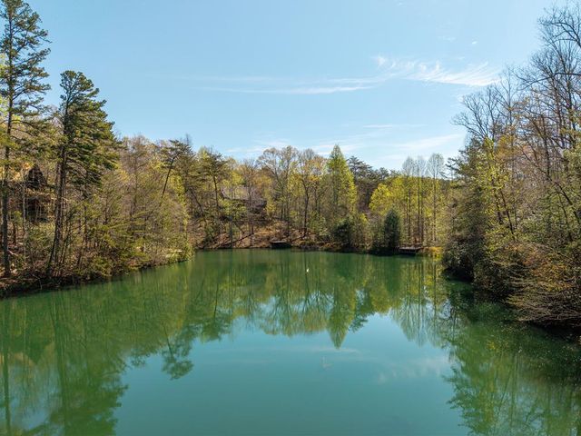 942 Granny Branch Drive, Cherry Log, GA 30522
