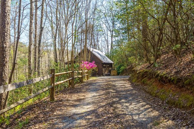 942 Granny Branch Drive, Cherry Log, GA 30522