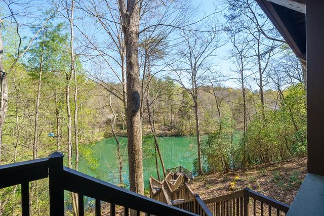 942 Granny Branch Drive, Cherry Log, GA 30522