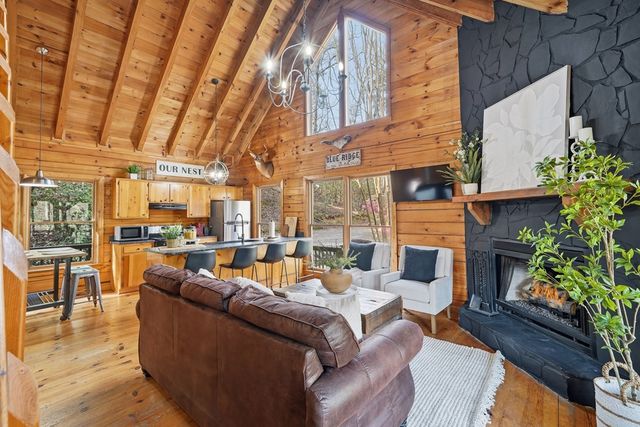 942 Granny Branch Drive, Cherry Log, GA 30522