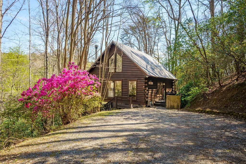 942 Granny Branch Drive, Cherry Log, GA 30522