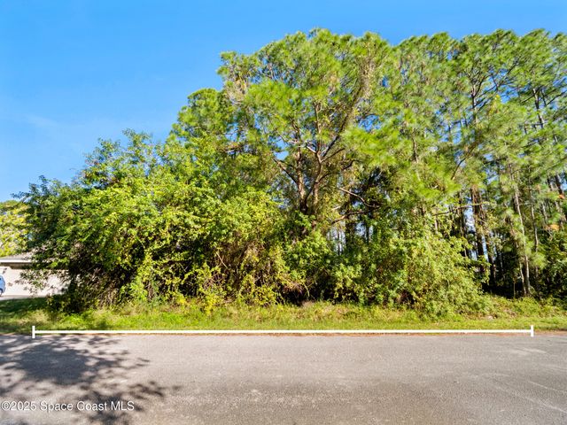 541 Darien Avenue SW, Palm Bay, FL 32908