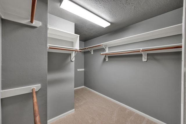 20430 Silver Oak Trail, Humble, TX 77346