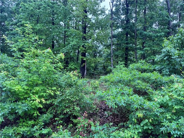 Lot 3 Cheshnut Drive, Bella Vista, AR 72714