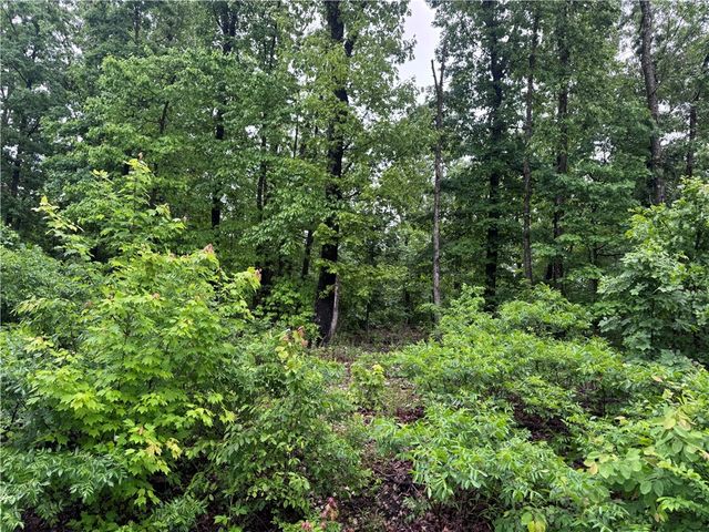 Lot 3 Cheshnut Drive, Bella Vista, AR 72714