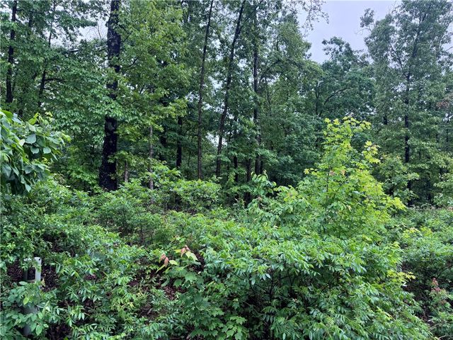 Lot 3 Cheshnut Drive, Bella Vista, AR 72714