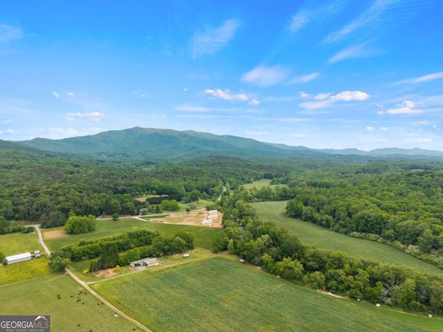 315 Cartecay River Run, Ellijay, GA 30536