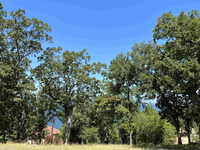 128 N Eagles Peak Dr., Bullard, TX 75757