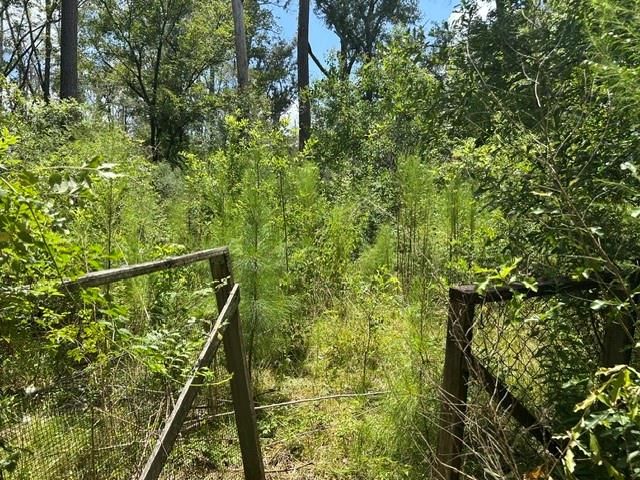 26748 Short St Street, Splendora, TX 77372