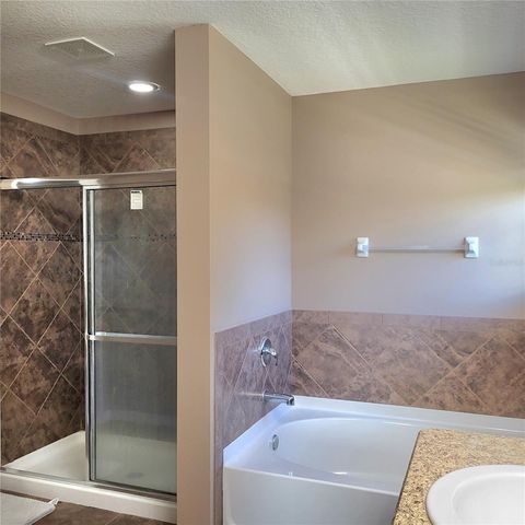 36142 LAGUNA HILLS CIRCLE, Zephyrhills, FL 33541