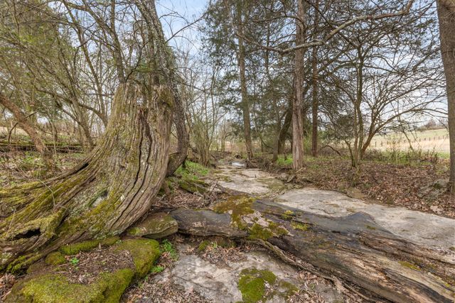 0 Cothran Rd, Columbia, TN 38401