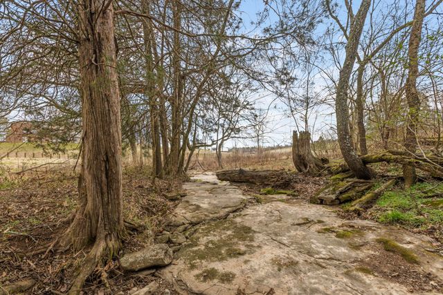 0 Cothran Rd, Columbia, TN 38401