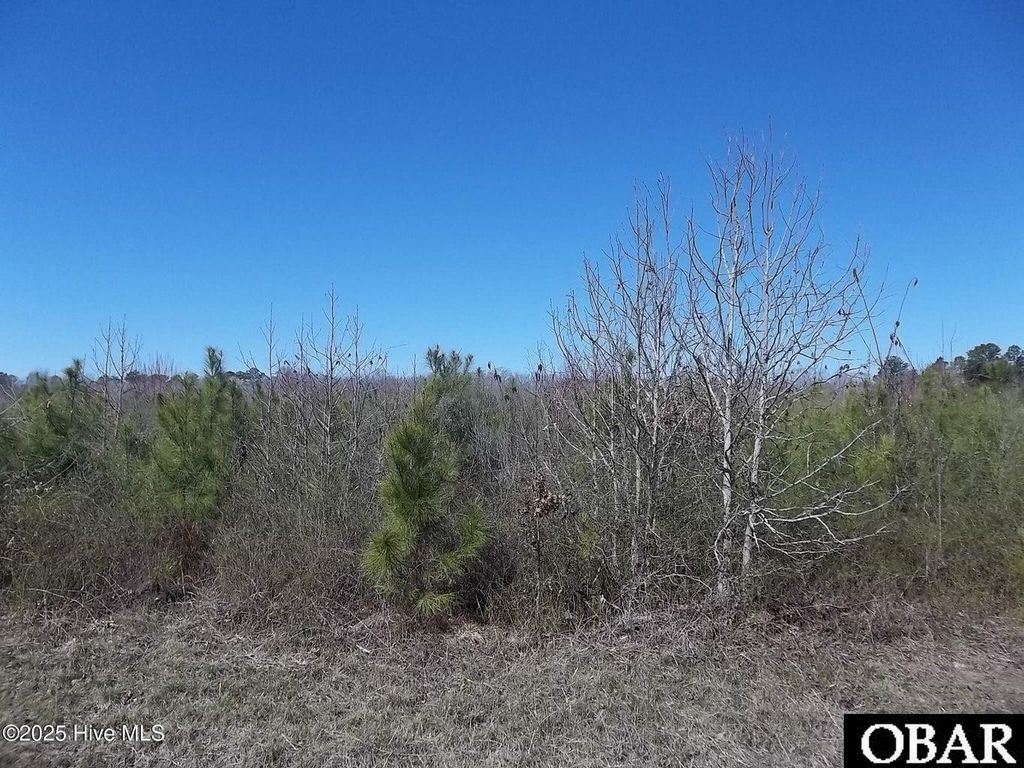 Image 1 of property listing at TBD Boat Ramp Road Lot #5, Hertford, NC 27944