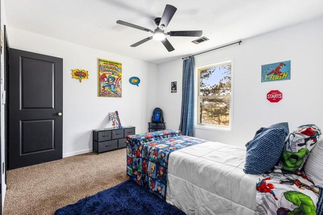 10950 Wheeler Trace, Hampton, GA 30228