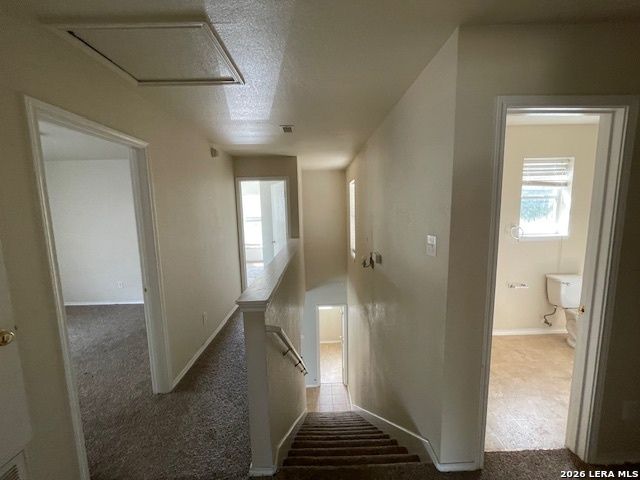 120 Booker Palm, San Antonio, TX 78239