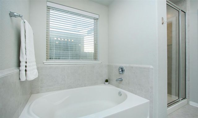 177 Emory Birch Drive, Montgomery, TX 77316