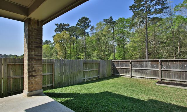 177 Emory Birch Drive, Montgomery, TX 77316