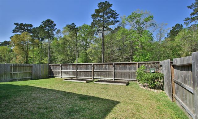 177 Emory Birch Drive, Montgomery, TX 77316