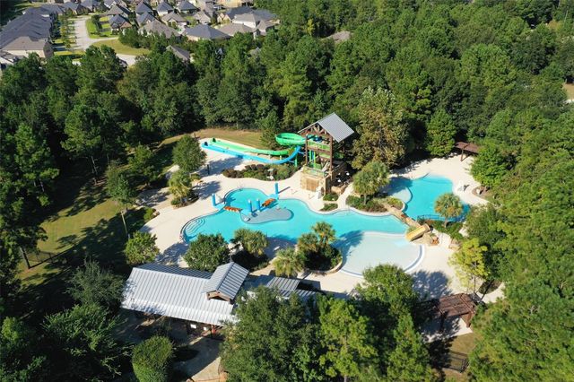 177 Emory Birch Drive, Montgomery, TX 77316