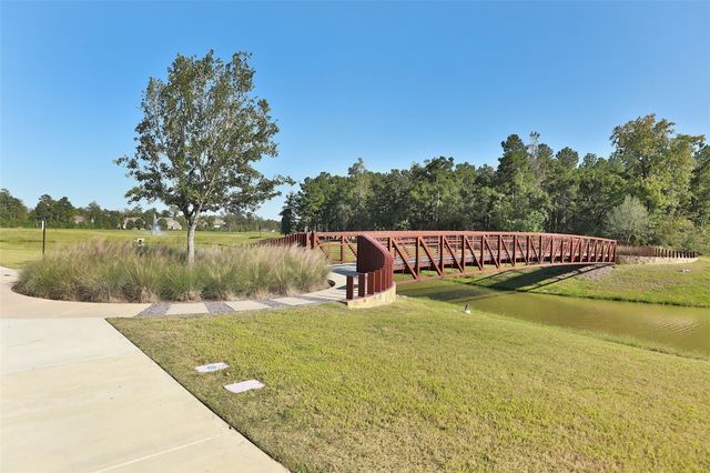 177 Emory Birch Drive, Montgomery, TX 77316