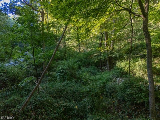 0 Sweet Hollow Road, Holland Twp., NJ 08848