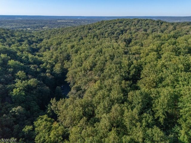 0 Sweet Hollow Road, Holland Twp., NJ 08848