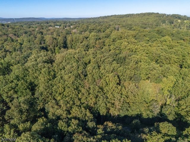 0 Sweet Hollow Road, Holland Twp., NJ 08848