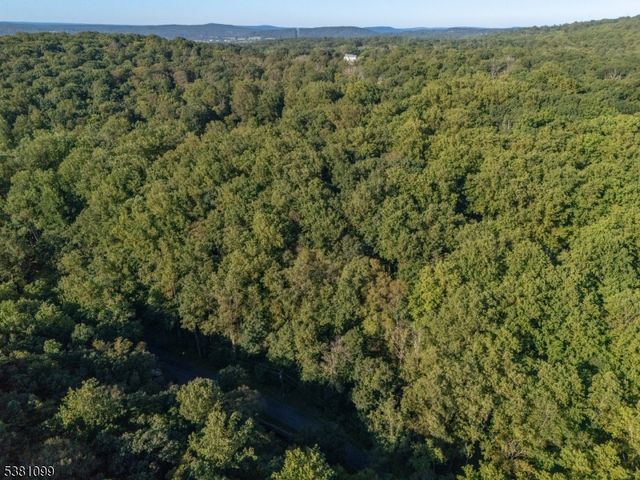 0 Sweet Hollow Road, Holland Twp., NJ 08848