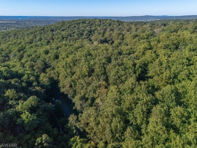 0 Sweet Hollow Road, Holland Twp., NJ 08848