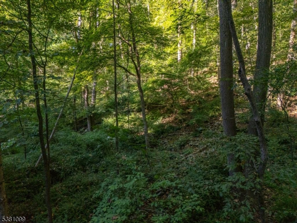 0 Sweet Hollow Road, Holland Twp., NJ 08848