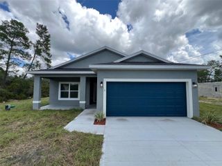 3 FISHER PLACE DRIVE, Ocklawaha, FL 32179