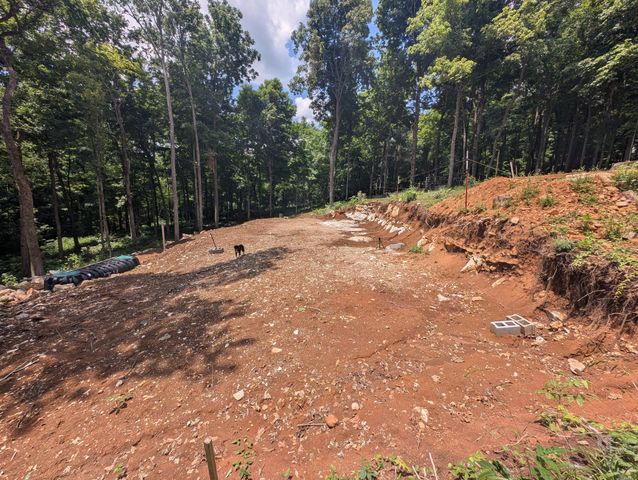 260 Tranquility Ln, Liberty, TN 37095