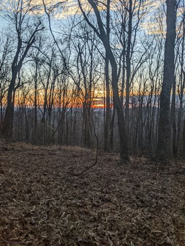 260 Tranquility Ln, Liberty, TN 37095